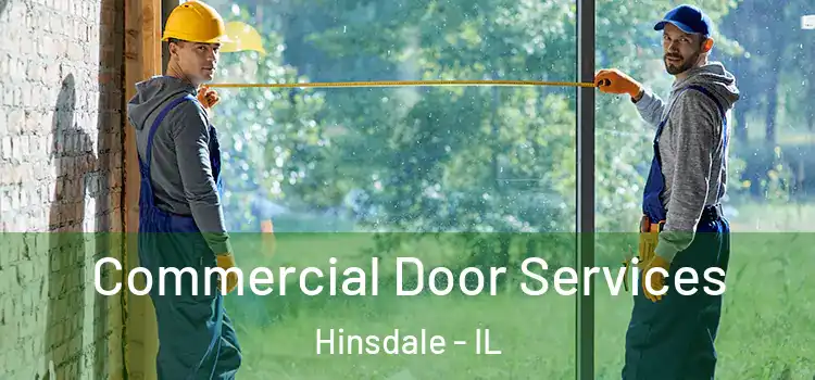 Commercial Door Services Hinsdale - IL