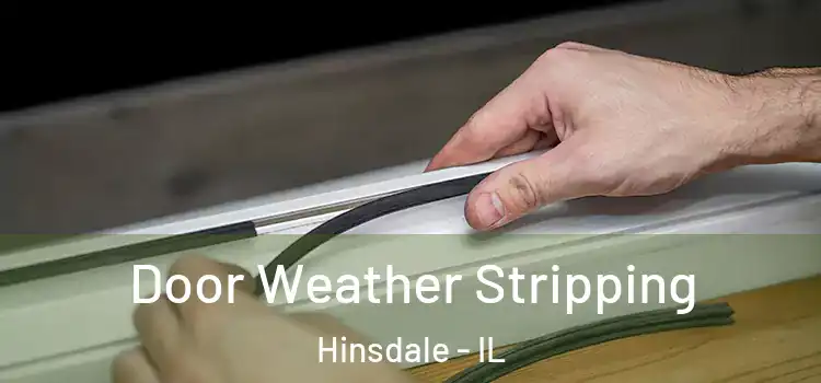 Door Weather Stripping Hinsdale - IL