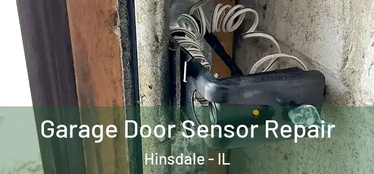 Garage Door Sensor Repair Hinsdale - IL