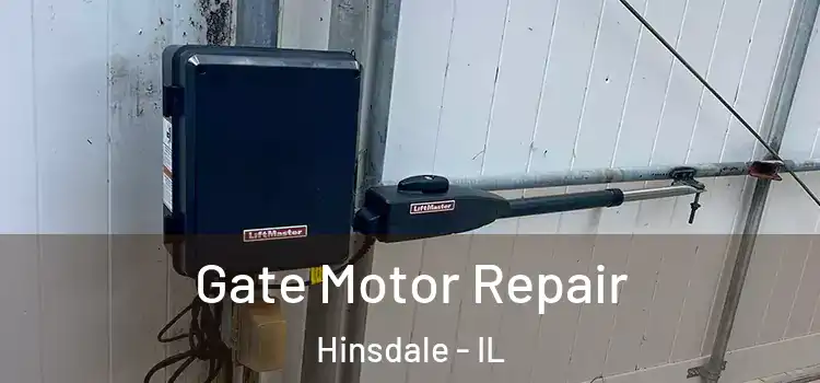 Gate Motor Repair Hinsdale - IL