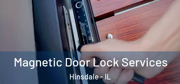 Magnetic Door Lock Services Hinsdale - IL