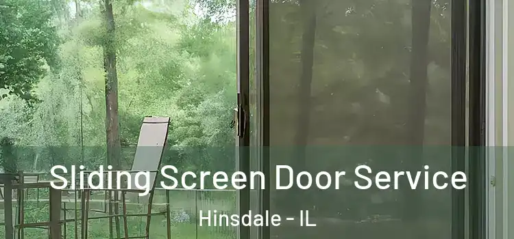 Sliding Screen Door Service Hinsdale - IL